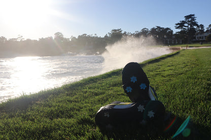 Sole in One